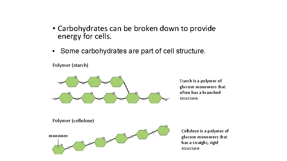  • Carbohydrates can be broken down to provide energy for cells. • Some