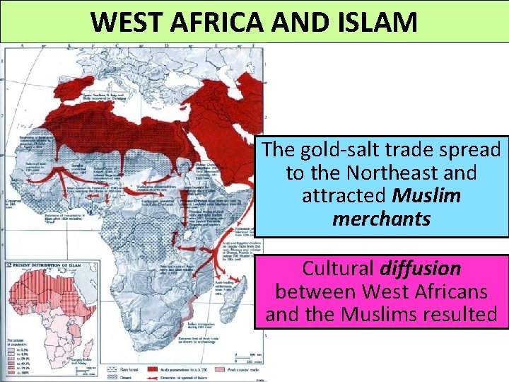WEST AFRICA AND ISLAM The gold-salt trade spread to the Northeast and attracted Muslim WEST AFRICA AND ISLAM The gold-salt trade spread to the Northeast and attracted Muslim
