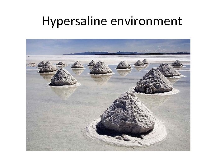Hypersaline environment 