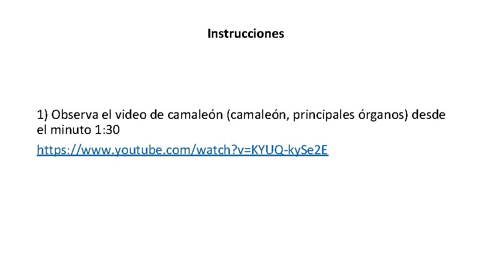 Instrucciones 1) Observa el video de camaleón (camaleón, principales órganos) desde el minuto 1: