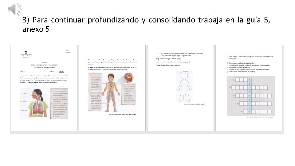 3) Para continuar profundizando y consolidando trabaja en la guía 5, anexo 5 