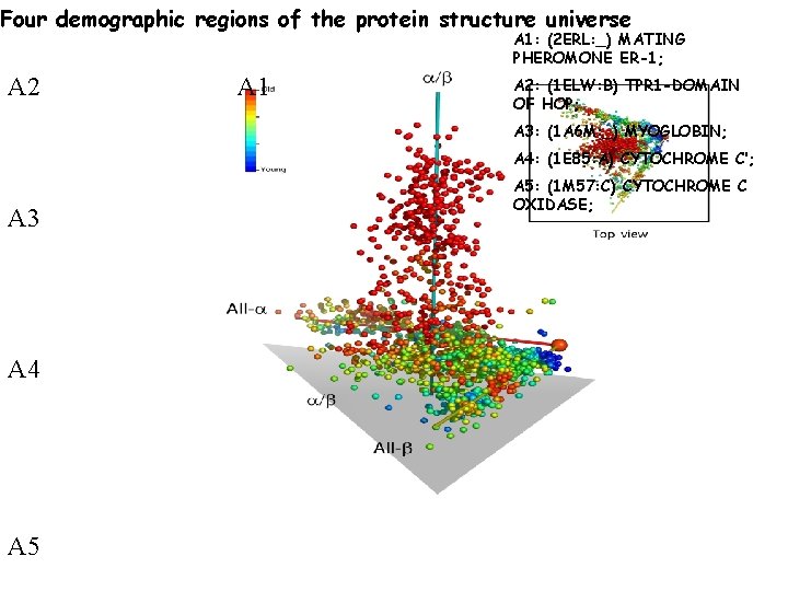 Four demographic regions of the protein structure universe A 1: (2 ERL: _) MATING