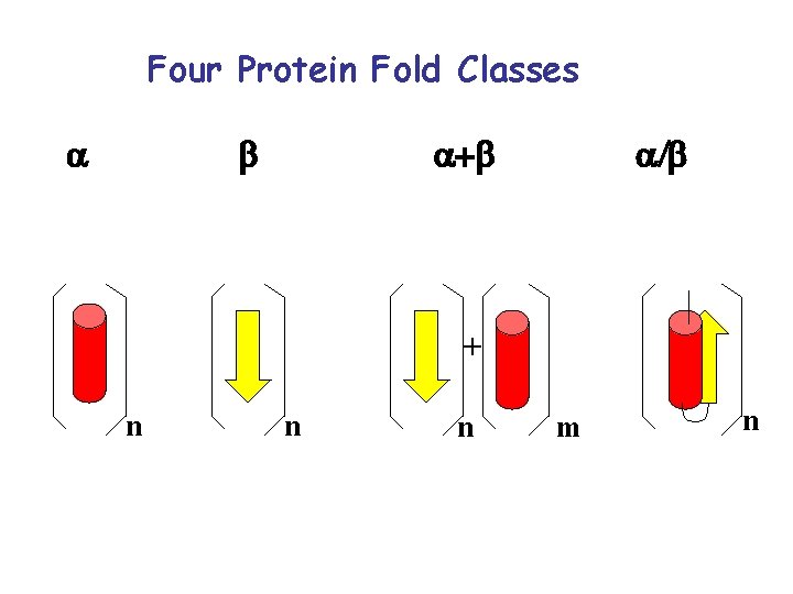 Four Protein Fold Classes a b a+b a/b + n n n m n