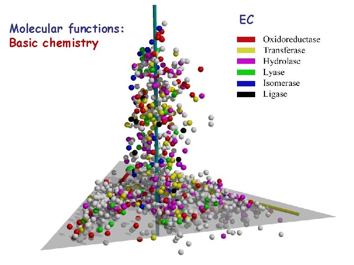 Molecular functions: Basic chemistry EC 