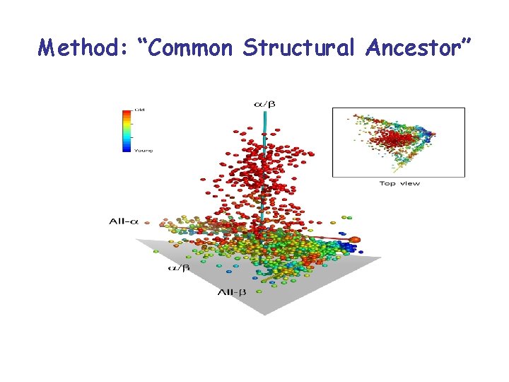 Method: “Common Structural Ancestor” 