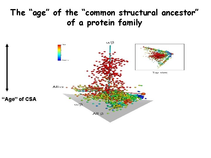 The “age” of the “common structural ancestor” of a protein family “Age” of CSA