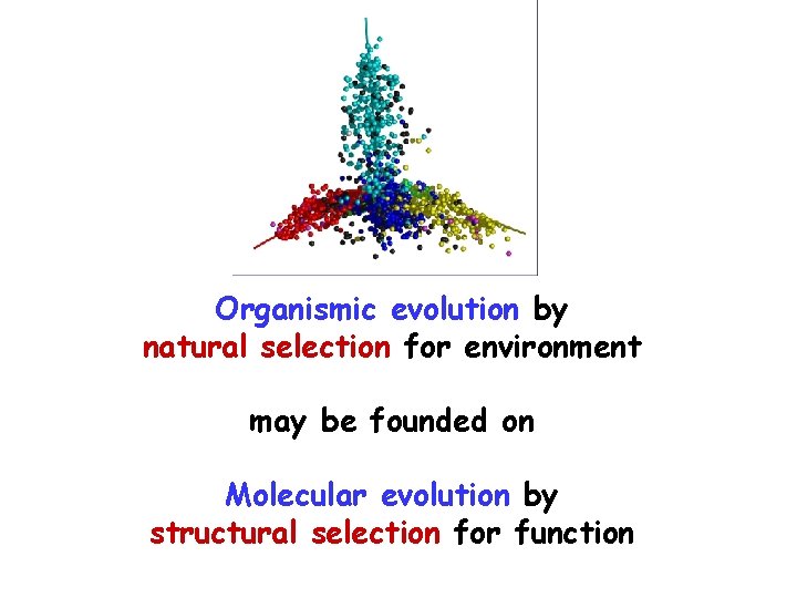 Organismic evolution by natural selection for environment may be founded on Molecular evolution by