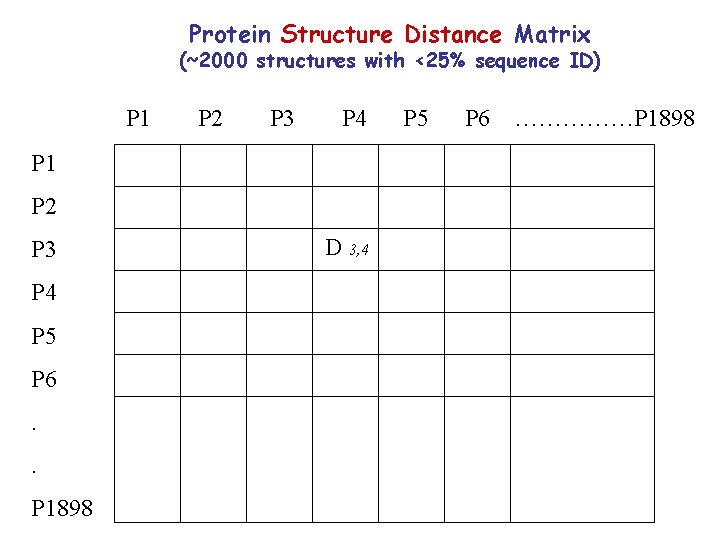 Protein Structure Distance Matrix (~2000 structures with <25% sequence ID) P 1 P 2