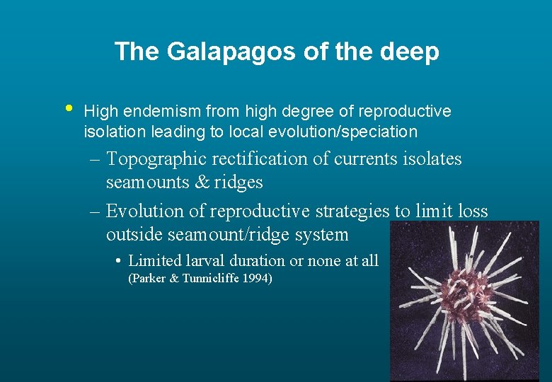 The Galapagos of the deep • High endemism from high degree of reproductive isolation