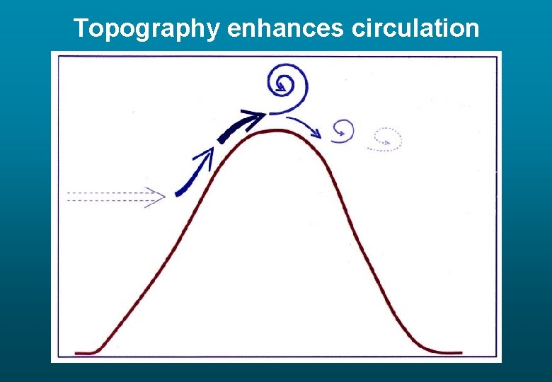 Topography enhances circulation 