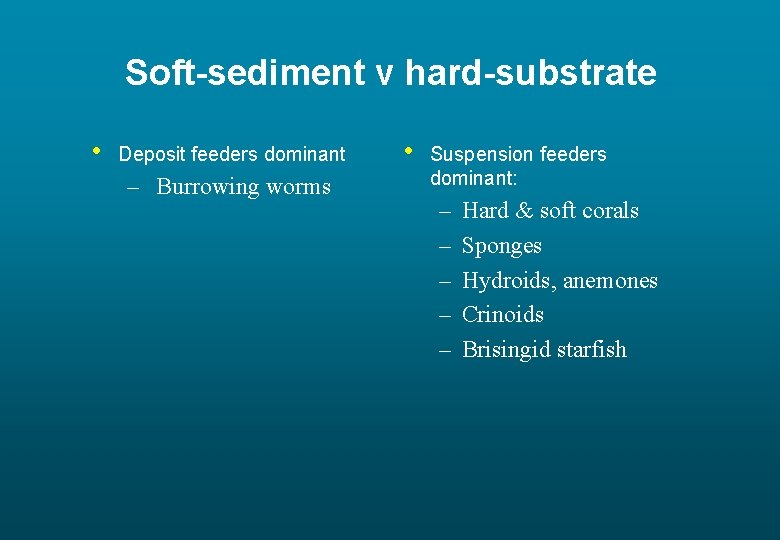 Soft-sediment v hard-substrate • Deposit feeders dominant – Burrowing worms • Suspension feeders dominant:
