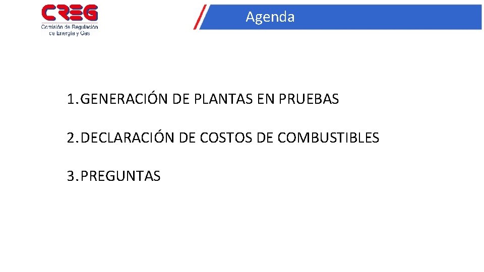 Agenda 1. GENERACIÓN DE PLANTAS EN PRUEBAS 2. DECLARACIÓN DE COSTOS DE COMBUSTIBLES 3.