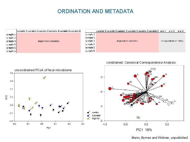 ORDINATION AND METADATA constrained: Canonical Correspondence Analysis unconstrained PCo. A of fecal microbiome Mann,