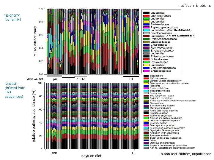 rat fecal microbiome taxonomy (by family) (Order Bacteriodales) (Phylum Bacteriodetes) days on diet pre