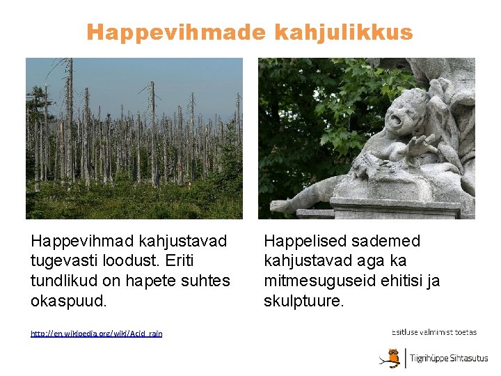 Happevihmade kahjulikkus Happevihmad kahjustavad tugevasti loodust. Eriti tundlikud on hapete suhtes okaspuud. http: //en. Happevihmade kahjulikkus Happevihmad kahjustavad tugevasti loodust. Eriti tundlikud on hapete suhtes okaspuud. http: //en.