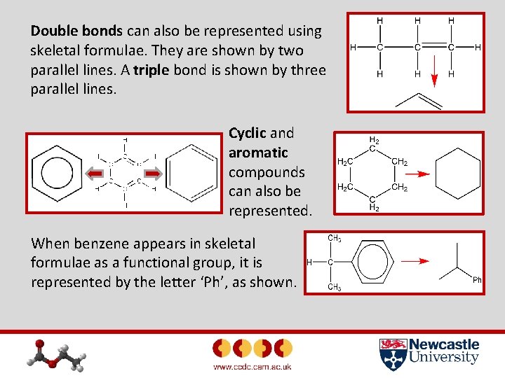 Double bonds can also be represented using skeletal formulae. They are shown by two