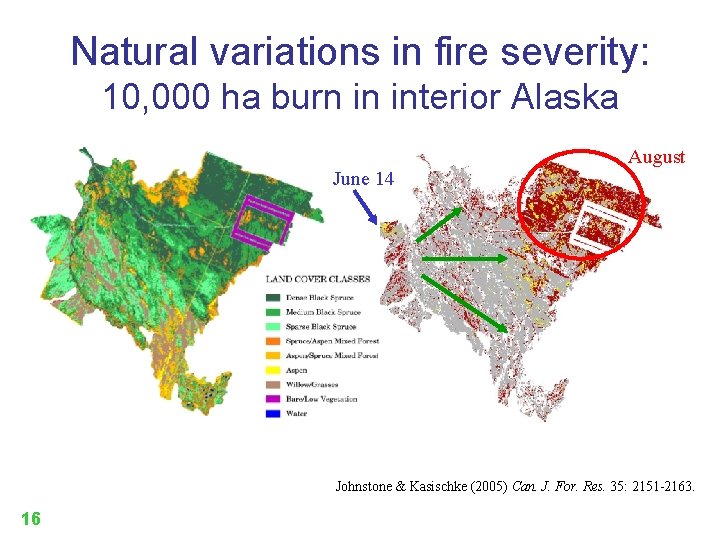 Natural variations in fire severity: 10, 000 ha burn in interior Alaska August June