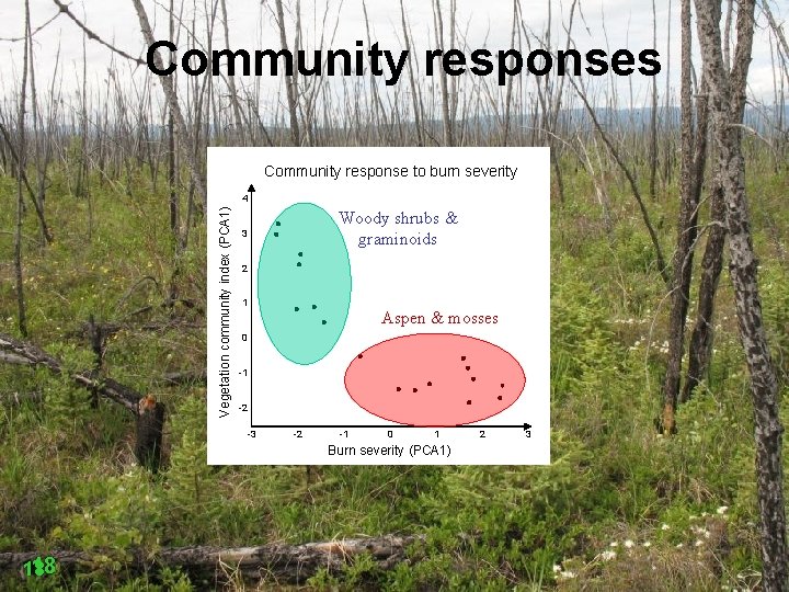 Community responses Community response to burn severity Vegetation community index (PCA 1) 4 Woody