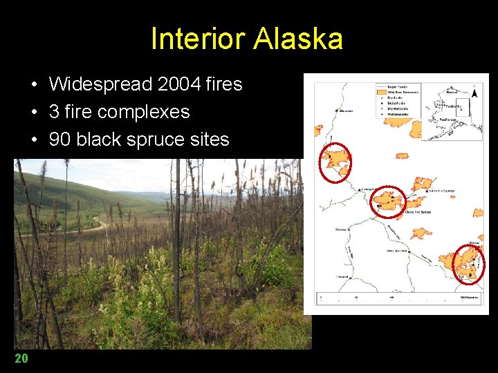 Interior Alaska • Widespread 2004 fires • 3 fire complexes • 90 black spruce