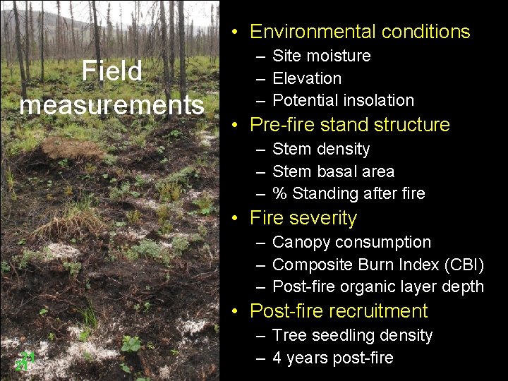  • Environmental conditions Field measurements – Site moisture – Elevation – Potential insolation