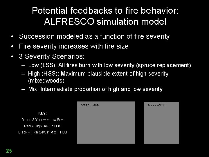 Potential feedbacks to fire behavior: ALFRESCO simulation model • Succession modeled as a function