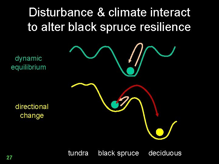 Disturbance & climate interact to alter black spruce resilience dynamic equilibrium directional change 27
