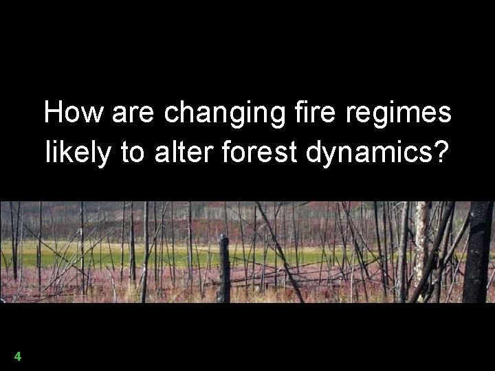How are changing fire regimes likely to alter forest dynamics? 4 