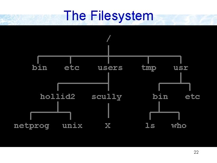 The Filesystem / bin etc hollid 2 netprog unix users scully X tmp bin The Filesystem / bin etc hollid 2 netprog unix users scully X tmp bin