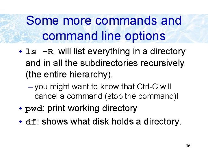 Some more commands and command line options • ls -R will list everything in Some more commands and command line options • ls -R will list everything in