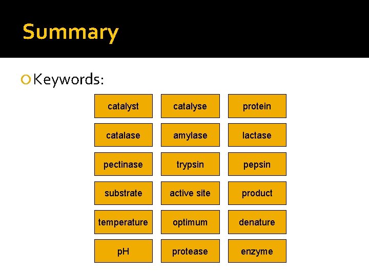 Summary Keywords: catalyst catalyse protein catalase amylase lactase pectinase trypsin pepsin substrate active site