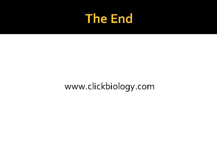 The End www. clickbiology. com 