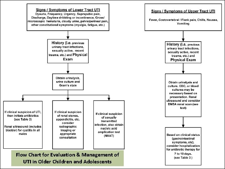 Flow Chart for Evaluation & Management of UTI in Older Children and Adolescents 