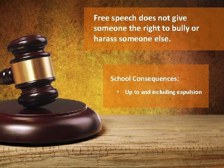 Free speech does not give someone the right to bully or harass someone else.