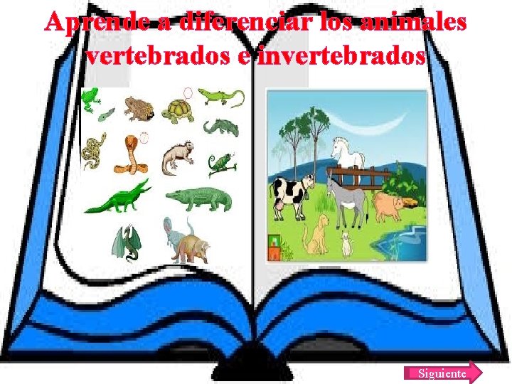 Aprende a diferenciar los animales vertebrados e invertebrados Siguiente 