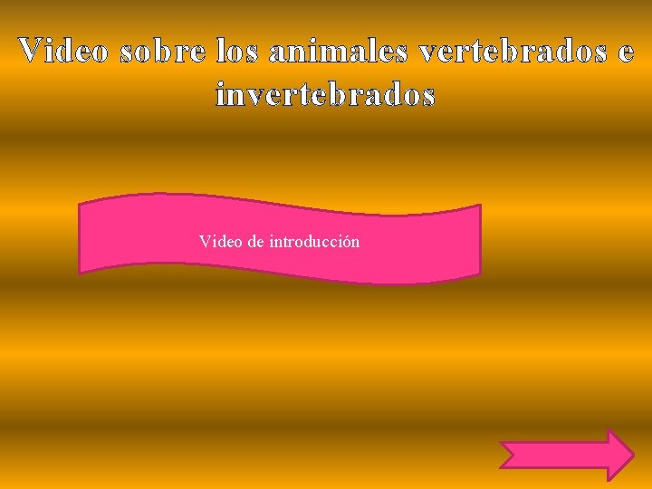 Video sobre los animales vertebrados e invertebrados Video de introducción 
