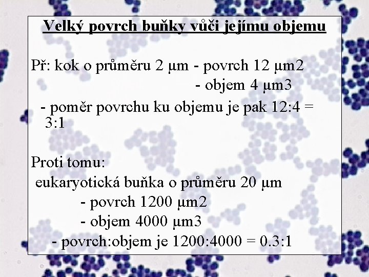 Velký povrch buňky vůči jejímu objemu Př: kok o průměru 2 µm - povrch