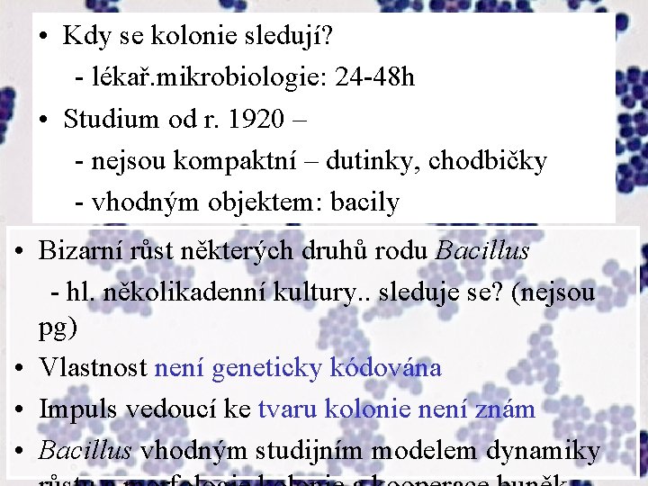  • Kdy se kolonie sledují? - lékař. mikrobiologie: 24 -48 h • Studium