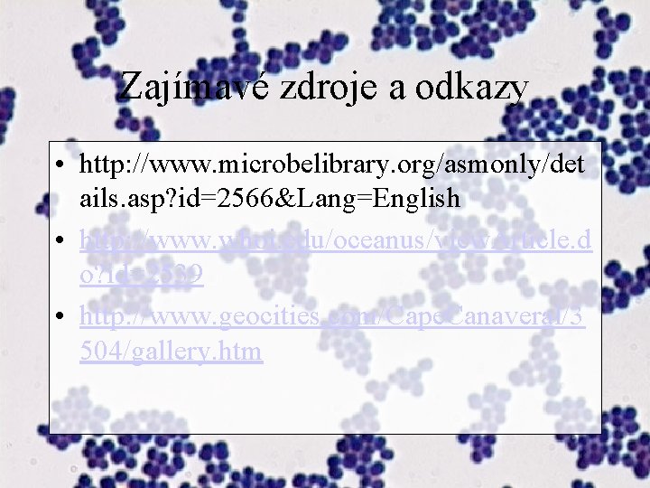 Zajímavé zdroje a odkazy • http: //www. microbelibrary. org/asmonly/det ails. asp? id=2566&Lang=English • http: