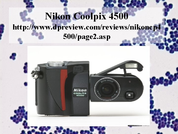 Nikon Coolpix 4500 http: //www. dpreview. com/reviews/nikoncp 4 500/page 2. asp 