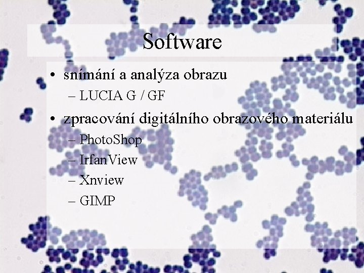 Software • snímání a analýza obrazu – LUCIA G / GF • zpracování digitálního