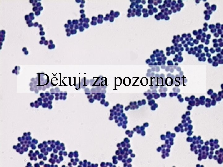 Děkuji za pozornost 