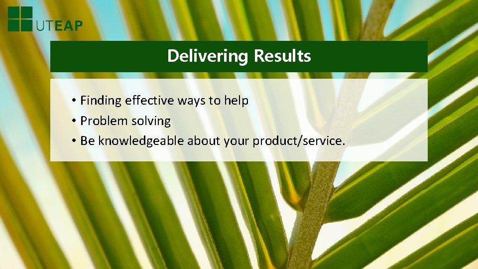 Delivering Results • Finding effective ways to help • Problem solving • Be knowledgeable