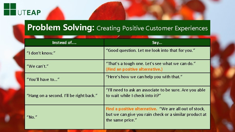 Problem Solving: Creating Positive Customer Experiences Instead of…. “I don’t know. ” “We can’t.