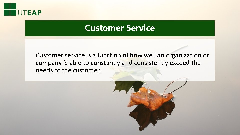 Customer Service Customer service is a function of how well an organization or company