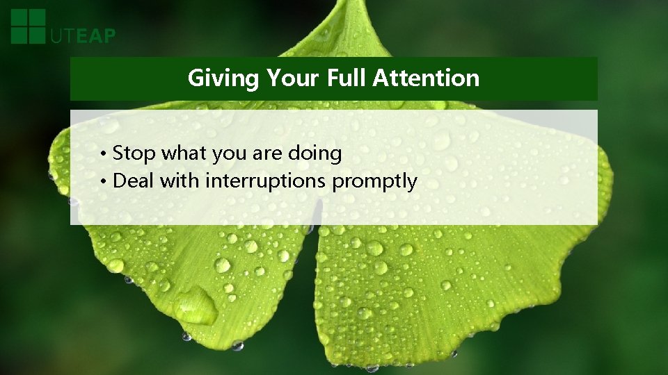 Giving Your Full Attention • Stop what you are doing • Deal with interruptions