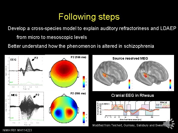 Following steps Develop a cross-species model to explain auditory refractoriness and LDAEP from micro