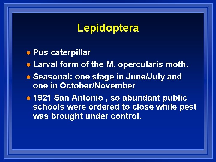 Lepidoptera Pus caterpillar l Larval form of the M. opercularis moth. l Seasonal: one