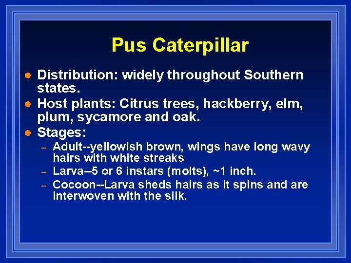 Pus Caterpillar l l l Distribution: widely throughout Southern states. Host plants: Citrus trees,