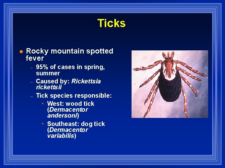 Ticks l Rocky mountain spotted fever – – – 95% of cases in spring,