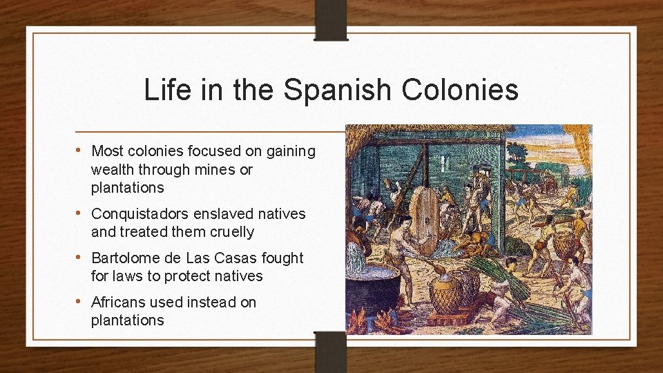 Life in the Spanish Colonies • Most colonies focused on gaining wealth through mines